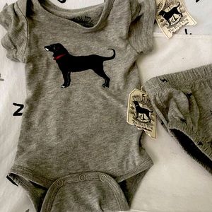 The Black Dog Baby Unisex 3 Month Two Piece with shorts Grey Set. New with tags